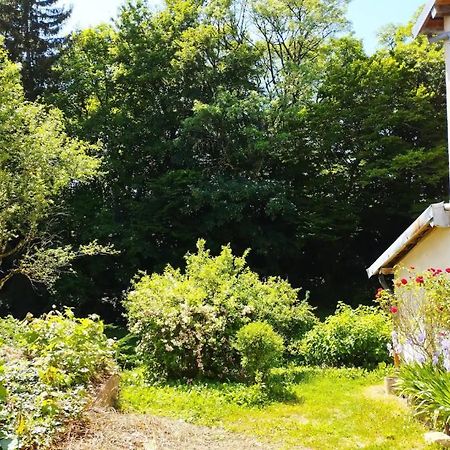 Les Glycines, Un Air De Campagne A La Ville Besancon Ngoại thất bức ảnh
